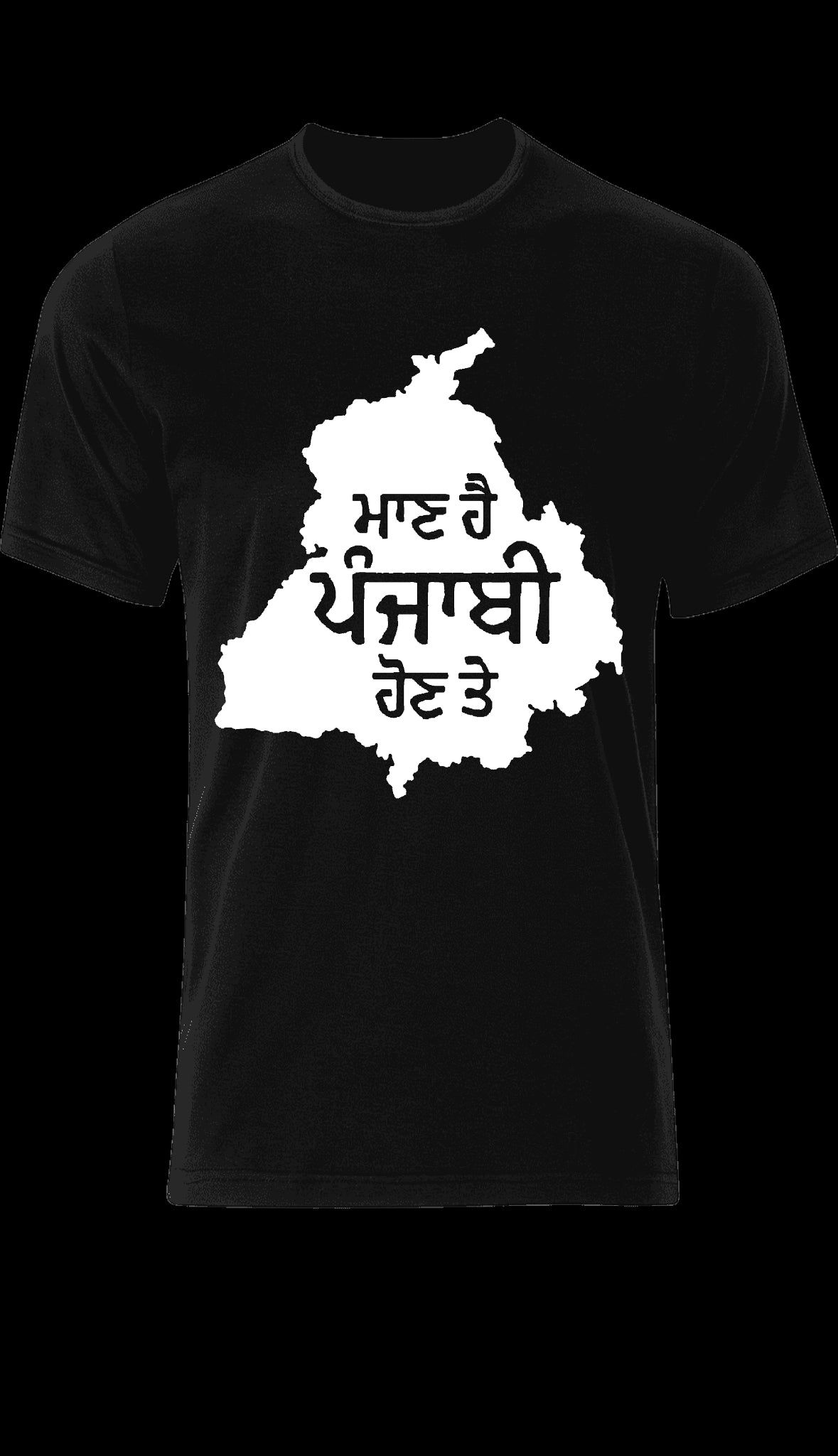 Proud to be Punjabi T shirt. Punjabi unisex T shirt