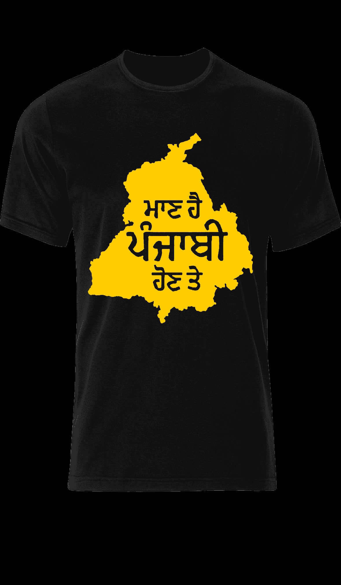 Proud to be Punjabi T shirt. Punjabi unisex T shirt