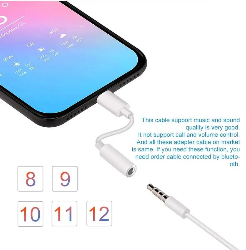 Lightning to 3.5mm headphone Aux Audio connector